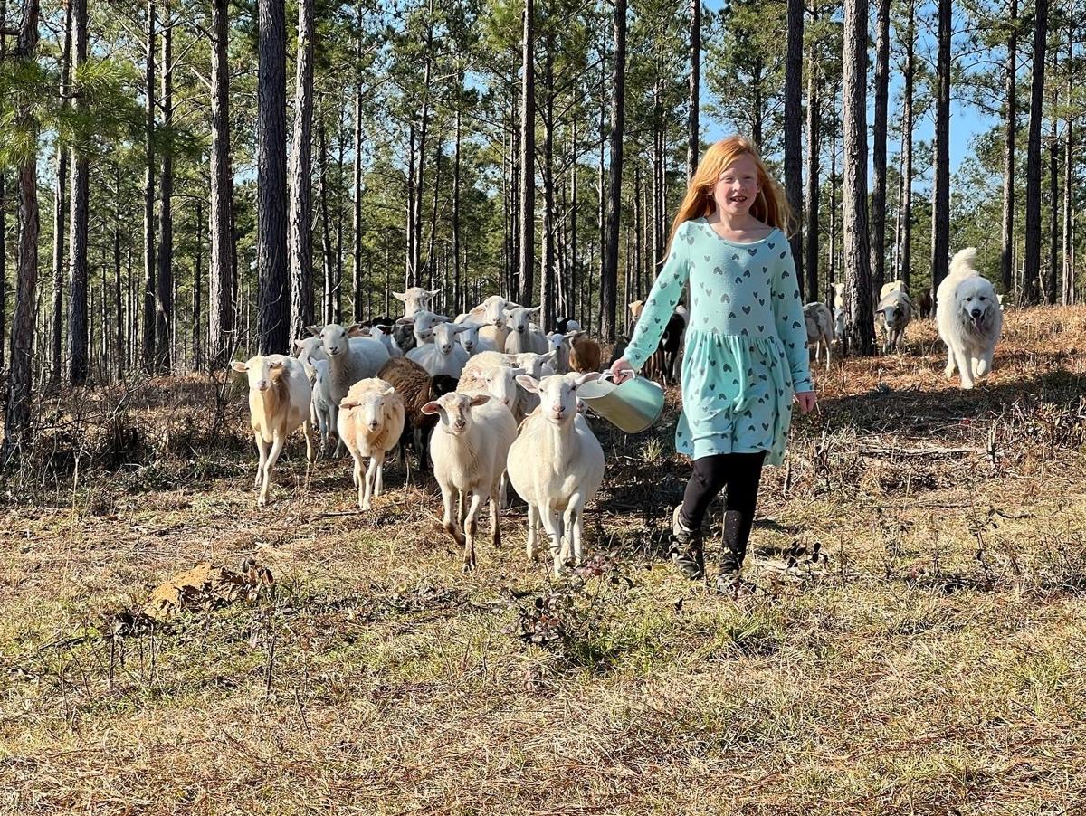 Follow Me Land & Livestock